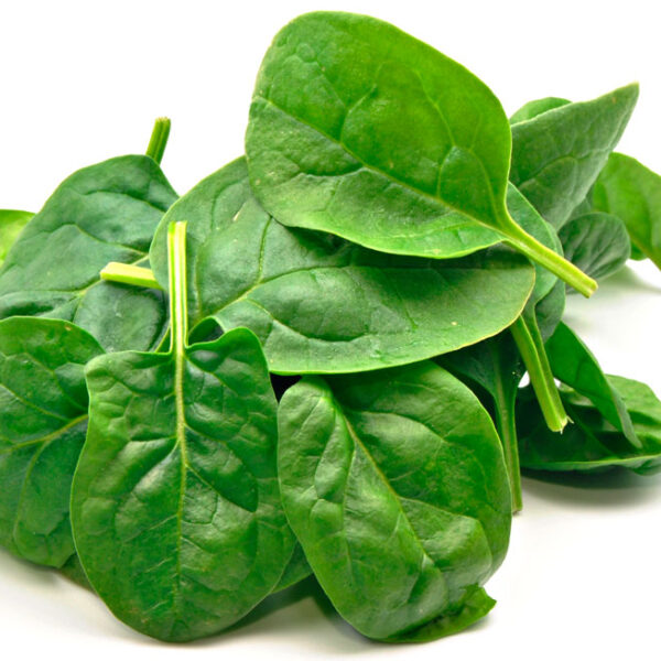 Baby-spinach