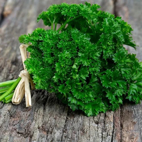 parsley
