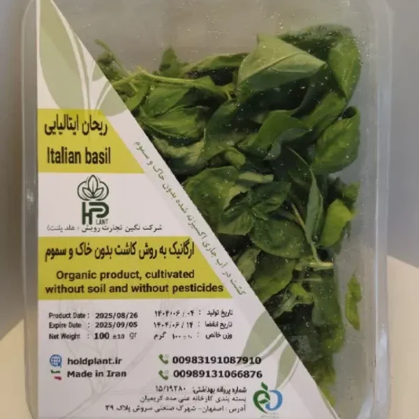 ریحان ایتالیایی