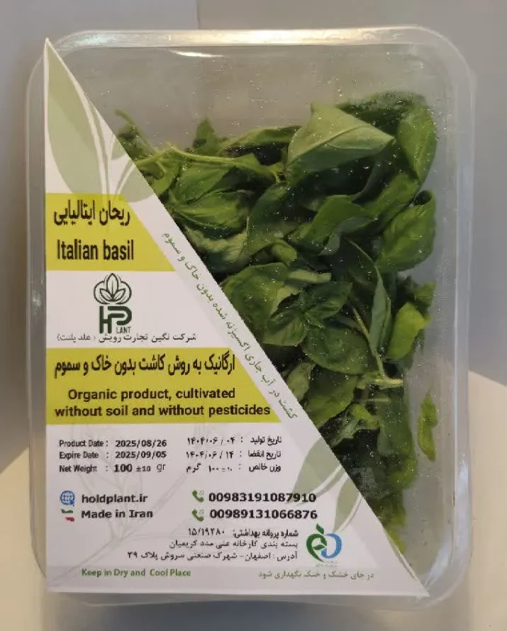 ریحان ایتالیایی